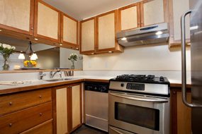 031612_124477_250s_original_e_kitchen_190h