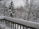 042410_aspenspringstorm15in_3