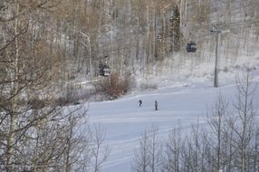 061613_127973_590_WoodRd42_5_190H