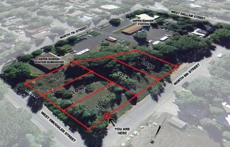 Auction Results US Forest Service Aspen West End Vacant Lots Image