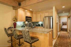 Aspen real estate 05152016 141635 610 S West End Street D104 3 190H