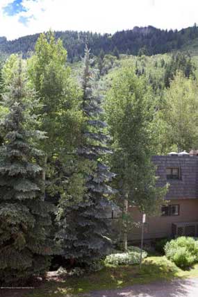 Aspen real estate 061916 142090 119 E Cooper Avenue 17 6 285W