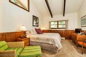 Aspen real estate 082816 144879 351 Meadow Road 4 190H