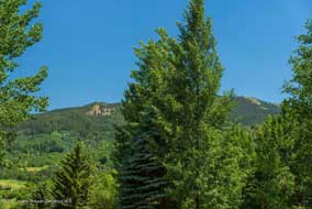 Aspen real estate 082816 144879 351 Meadow Road 6 190H