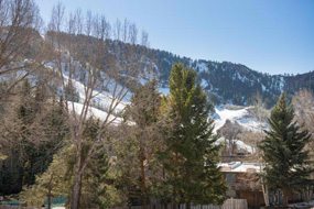 Aspen real estate 120416 138188 1034 E Cooper Avenue 3 A 6 190H