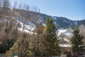 Aspen real estate 120416 138188 1034 E Cooper Avenue 3 A 6 190H