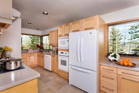 Aspen real estate 121116 141959 25 Janss Lane 3 190H