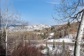 Aspen real estate 121116 146257 35 Lower Woodbrdige Road 120 5 190H