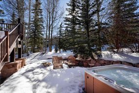 Aspen real estate 062517 147639 41 Colt Circle 6 190H