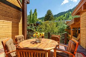 Aspen real estate 072317 144842 235 W Hopkins Avenue B 6 190H