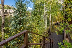 Aspen real estate 073017 146159 550 S Riverside Avenue Unit 4 6 190H