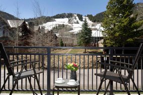 Aspen real estate 091017 148440 700 S Monarch Street 202 6 190H