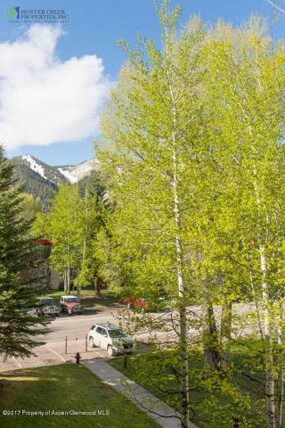 Aspen real estate 091017 148471 1233 Vine Street 1233 6 190H