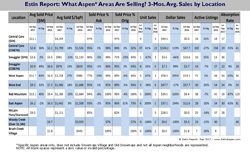 Estin Report Sep 2017 Aspen Real Estate Sales by Neighborhood v2.1 250w96res