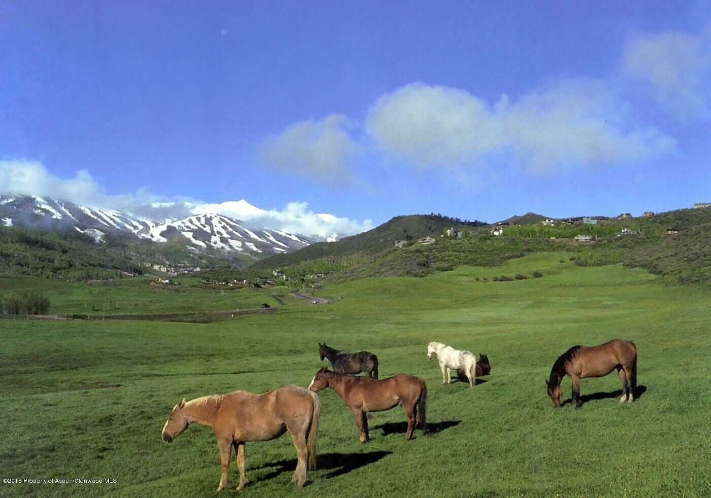 A Week of Aspen and Snowmass (5) Vacant Land Closings Image