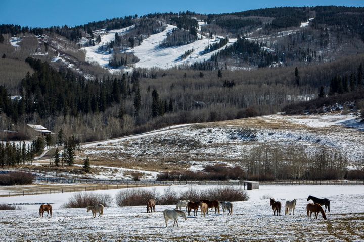 Aspen_Co_res_vacant_land_for_sale_TBD_Owl_Creek_Ranch_Road_4_DouglasElliman
