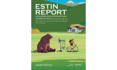 Report Image