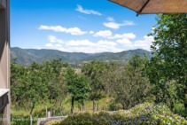 Aspen_Co_homes_for_sale_2227_Juniper_Hill_Road_4_Compass
