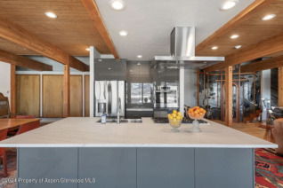 Aspen_Co_homes_for_580_Johnson_Drive_6_ChristiesInternational