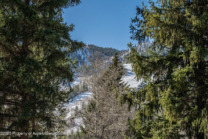 Aspen_Co_homes_for_sale_333_W_HOPKINS_Avenue_4_ColdwellBankerMM