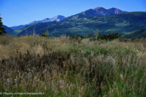 Aspen_Co_res_vacant_land_for_sale_114_116_White_Star_Lane_6_GlobalRealEstateGroup