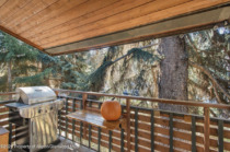 Aspen_Co_condos_for_sale_910_W_Hallam_Street_Unit_11_3_Compass