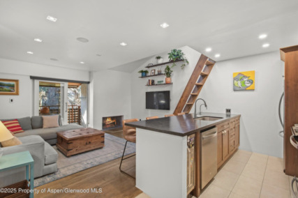Aspen_Co_condos_for_sale_910_W_Hallam_Street_Unit_11_4_Compass
