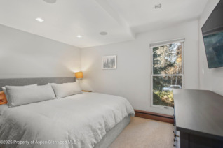 Aspen_Co_condos_for_sale_910_W_Hallam_Street_Unit_11_6_Compass