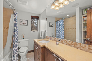 Aspen_Co_condos_for_sale_910_W_Hallam_Street_Unit_11_7_Compass