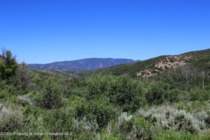 Old_Snowmass_res_vacant_land_for_sale_TBD_Shield_O_Road_3_AspenSnowmassSothebys