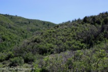 Old_Snowmass_res_vacant_land_for_sale_TBD_Shield_O_Road_7_AspenSnowmassSothebys