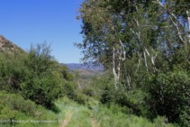 Old_Snowmass_res_vacant_land_for_sale_TBD_Shield_O_Road_8_AspenSnowmassSothebys