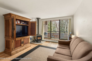 Aspen_Co_condos_for_sale_700_236_Vine_Street,_1_ColdwellBankerMM