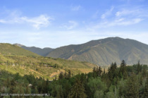 Aspen_Co_homes_for_sale_26_Twining_Flats_Road_4_ColdwellBankerMM