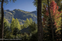 Aspen_Co_homes_for_sale_728_E_Francis_Street_4_AspenSnowmassInternational