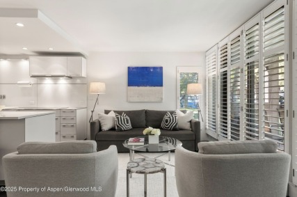 Aspen_Co_homes_for_sale_800_E_Hopkins_Avenue_A_3_2_Compass