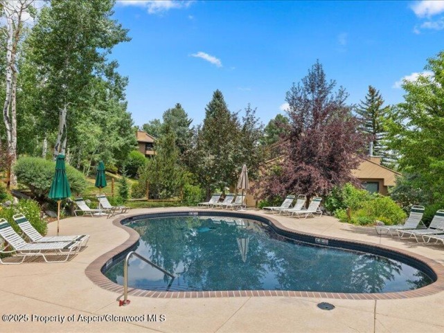 Aspen_Co_condos_for_sale_35_Lower_Woodbridge_Road_171_10_AspenSnowmassSothebys