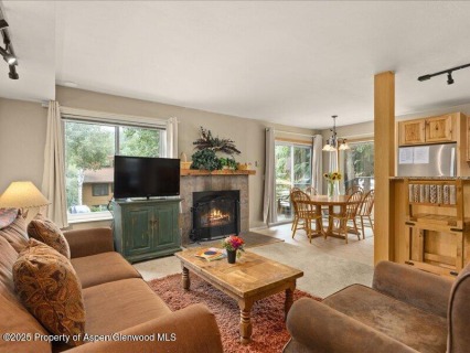 Aspen_Co_condos_for_sale_35_Lower_Woodbridge_Road_171_1_AspenSnowmassSothebys