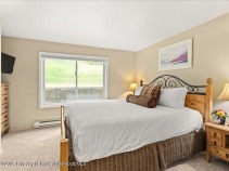 Aspen_Co_condos_for_sale_35_Lower_Woodbridge_Road_171_5_AspenSnowmassSothebys