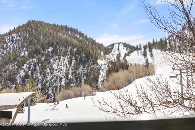Aspen_Co_condos_for_sale_555_E_Durant_Avenue_2c_10_Compass