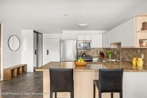 Aspen_Co_condos_for_sale_555_E_Durant_Avenue_2c_5_Compass