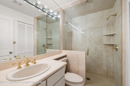 Aspen_Co_condos_for_sale_555_E_Durant_Avenue_2c_9_Compass