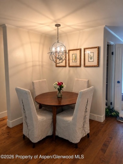 Aspen_Co_condos_for_sale_800_E_Hopkins_Avenue_A-1_10_GilliamProperties