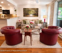 Aspen_Co_condos_for_sale_800_E_Hopkins_Avenue_A-1_1_GilliamProperties