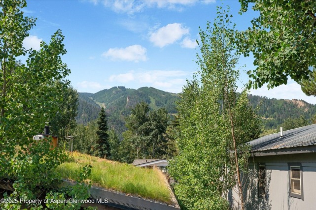 Aspen_Co_homes_for_sale_306_Oak_Lane_10_ColdwellBankerMM