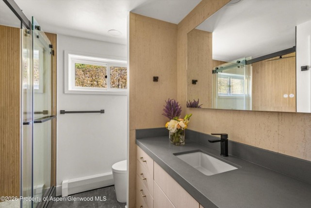 Aspen_Co_homes_for_sale_75_Bennett_Court_10_Compass