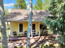 Aspen_Co_homes_for_sale_930_Matchless_Drivee_1_RedfinCorporation